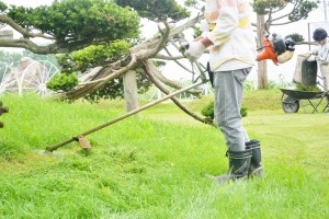 草刈り作業